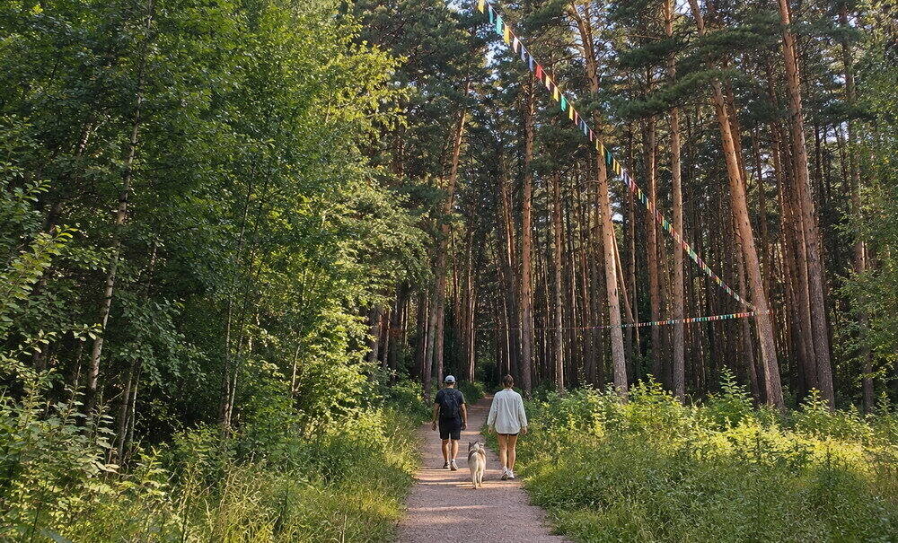 Инюшенский бор